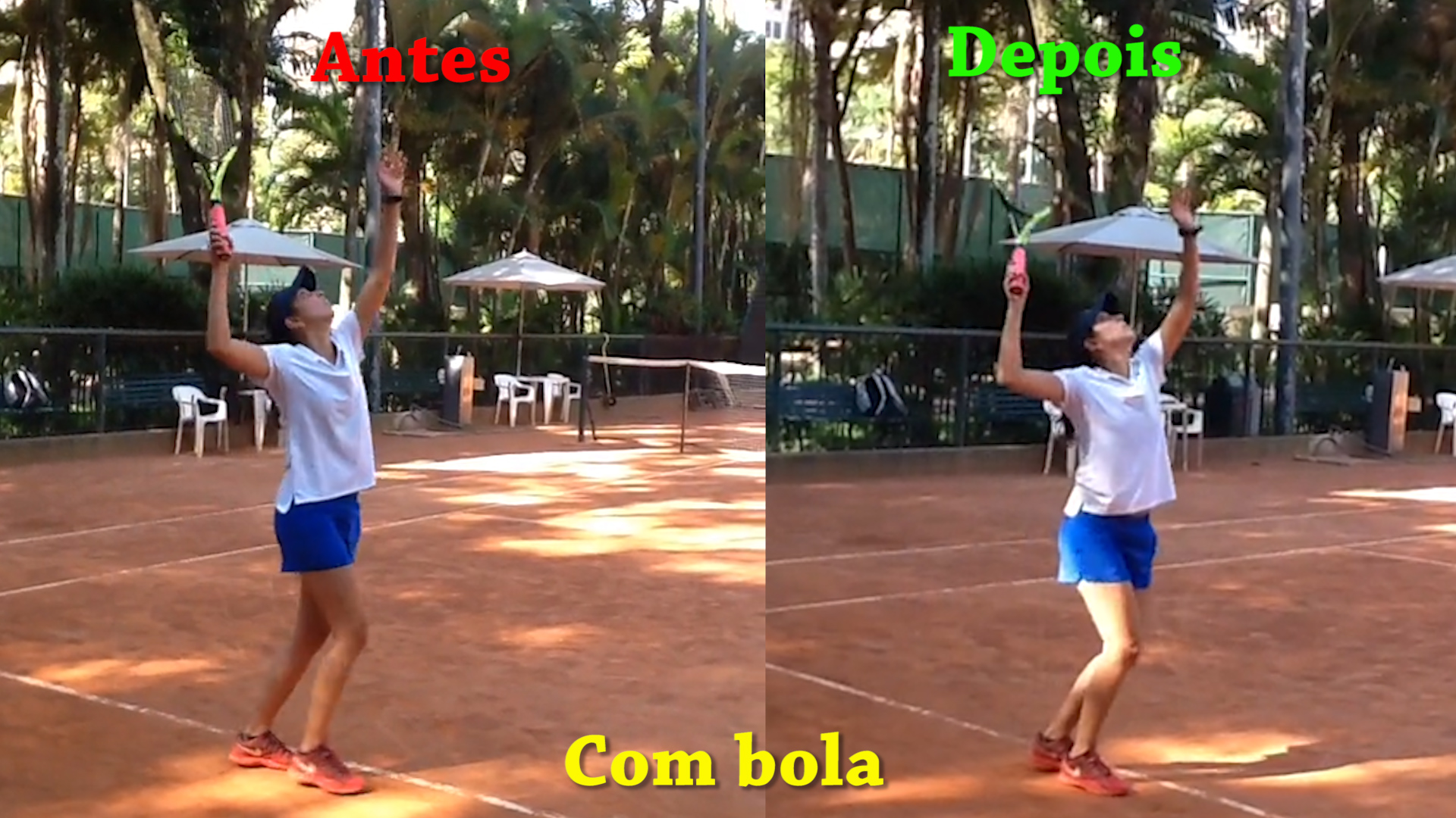 renata 1