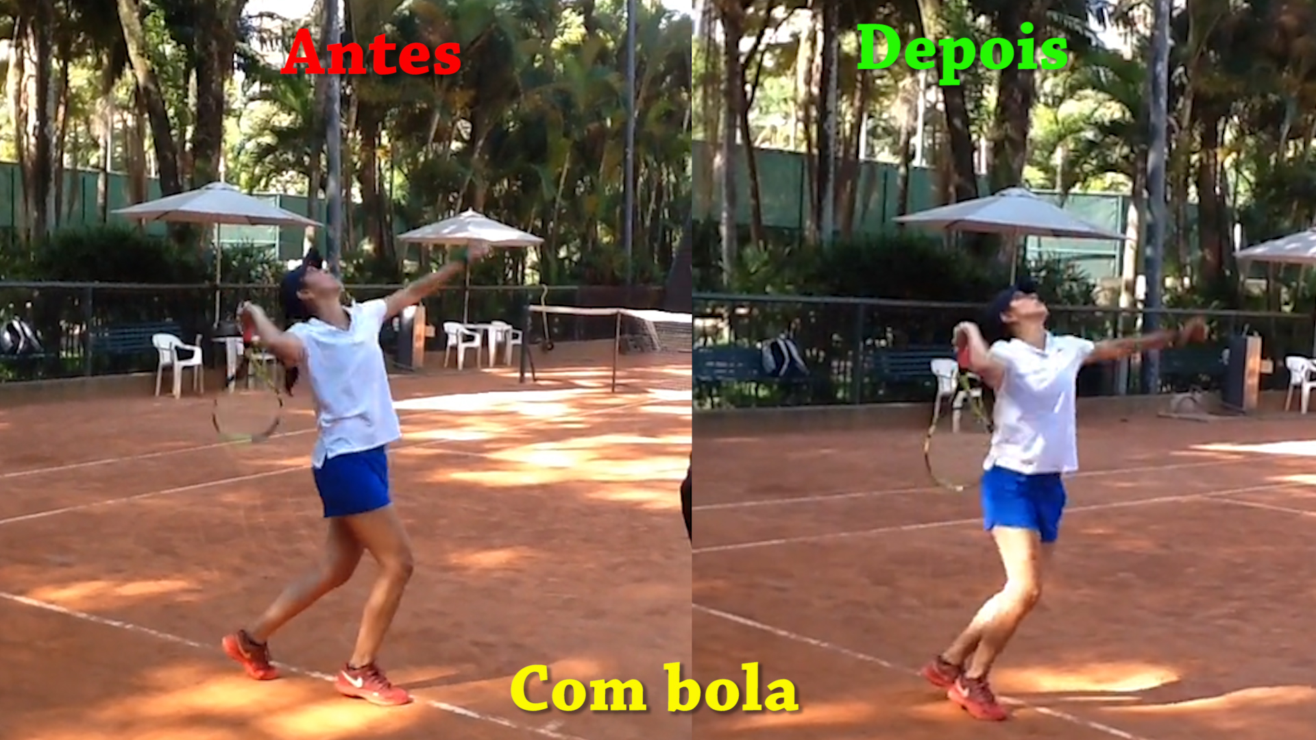 renata 2