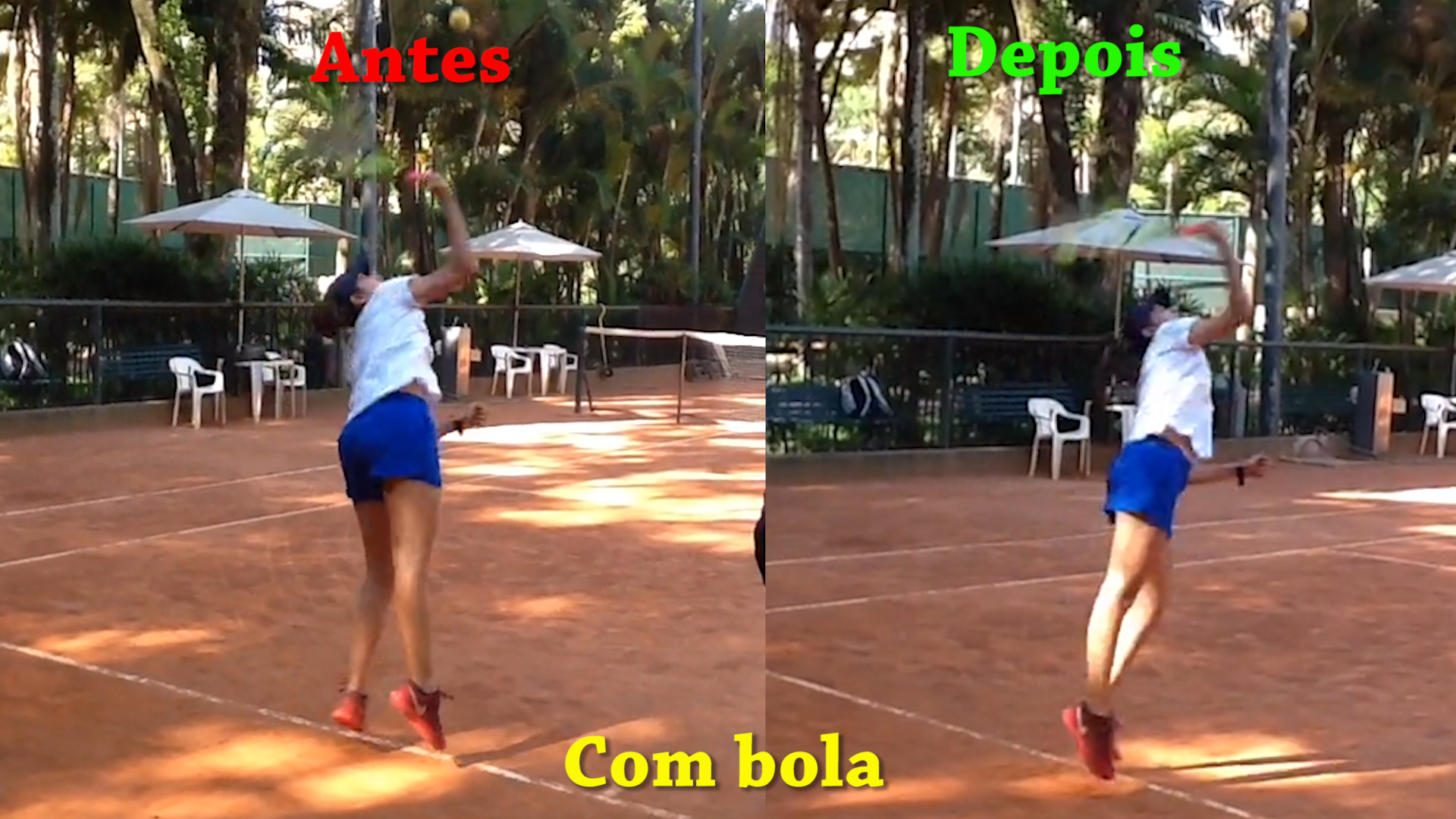 renata 3