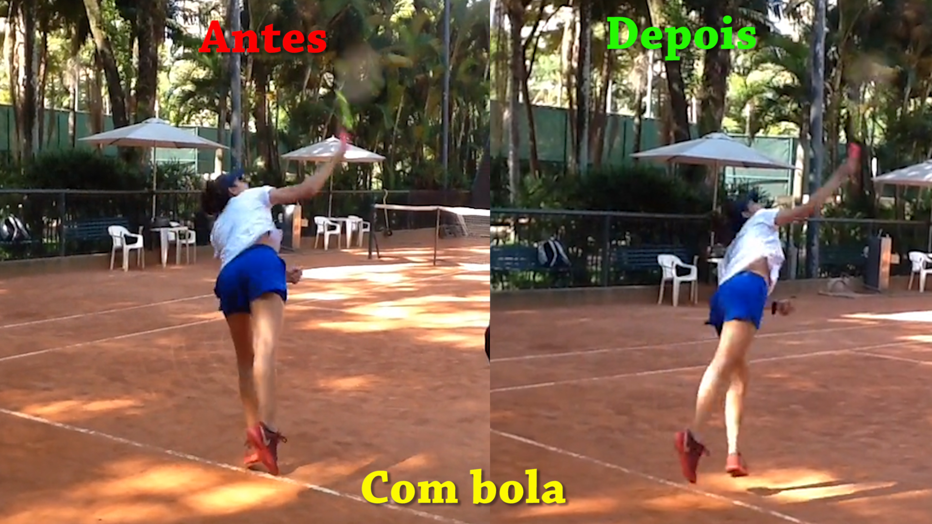 renata 4